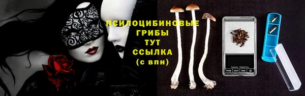 шишки Бутурлиновка