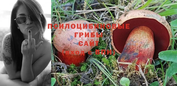 трава Болотное