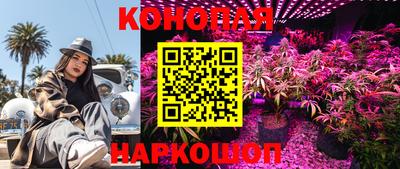 ПСИЛОЦИБИНОВЫЕ ГРИБЫ Абакан