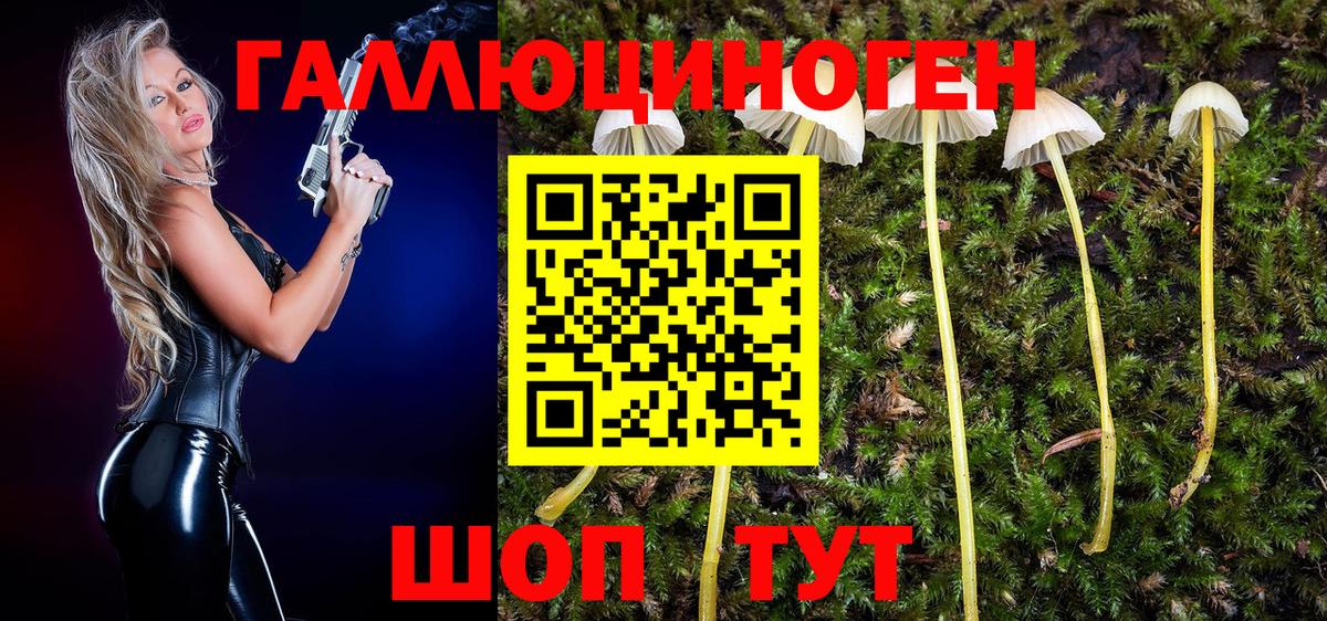 Псилоцибиновые грибы MAGIC MUSHROOMS Апатиты