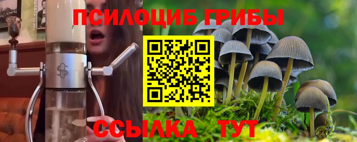Псилоцибиновые грибы MAGIC MUSHROOMS  Вход с VPN  Апатиты 