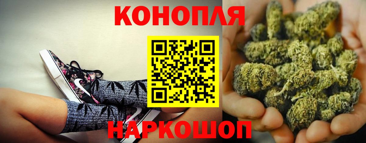 Конопля марихуана Апатиты